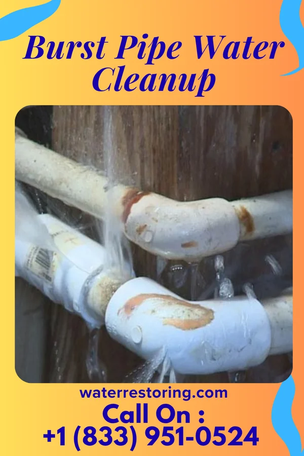 Burst Pipe Water Cleanup in Monmouth, OR